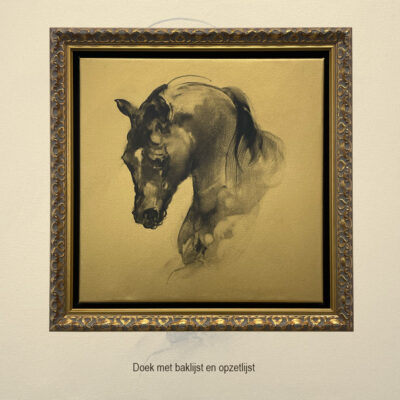 Schilderij op doek ingelijst met een dubbele lijst